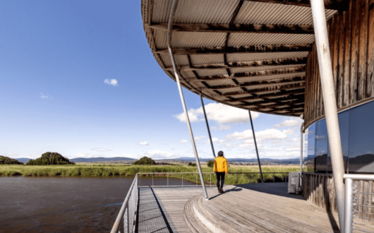 DC54B11B-CBF1-43C5-B9CE-109D0905A94B-1024x683 1