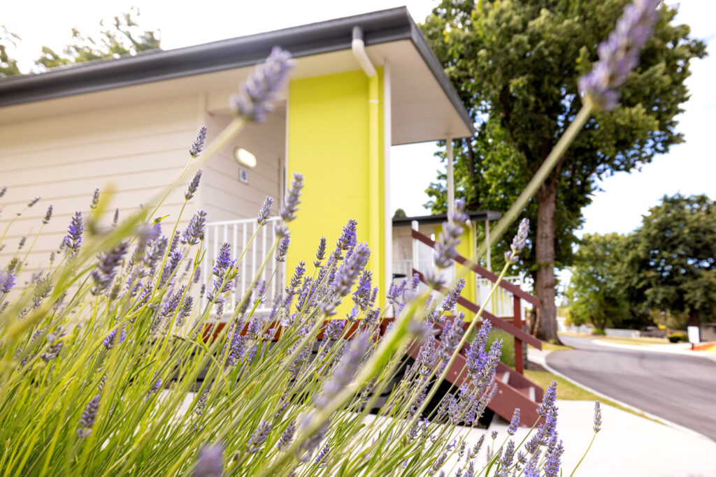 Tamar Villa - Exterior