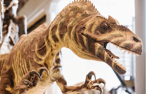 Screen-Shot-2023-01-23-at-9.25.19-am-4