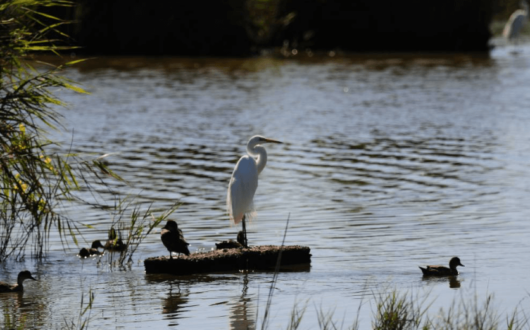 Screen-Shot-2023-01-30-at-3.09.21-pm