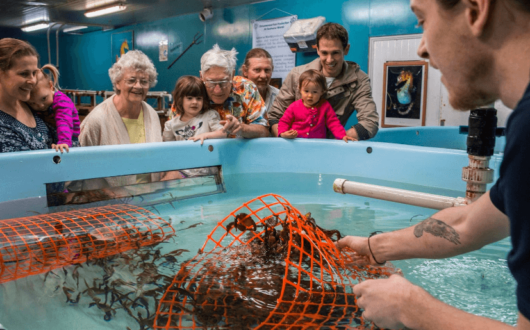 Screen-Shot-2023-02-13-at-3.17.49-pm