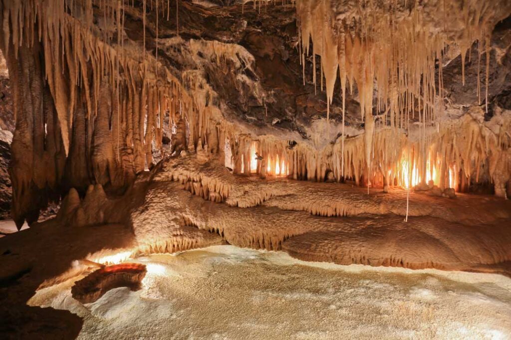 Mole-Creek-Caves---Tourism-Australia-&-Graham-Freeman
