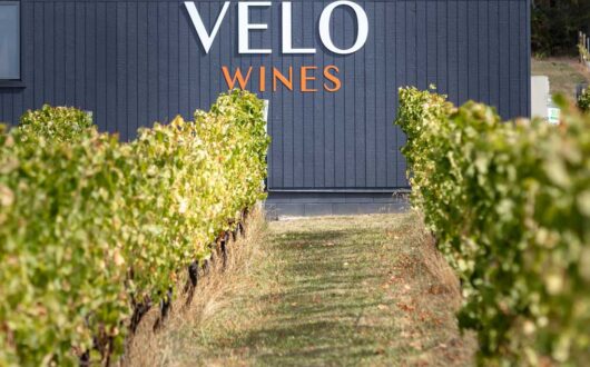 WineryTourLaunceston-02