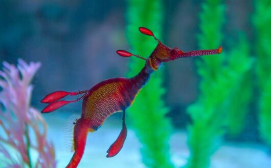 r0_290_5568_3422_w1200_h678_fmax