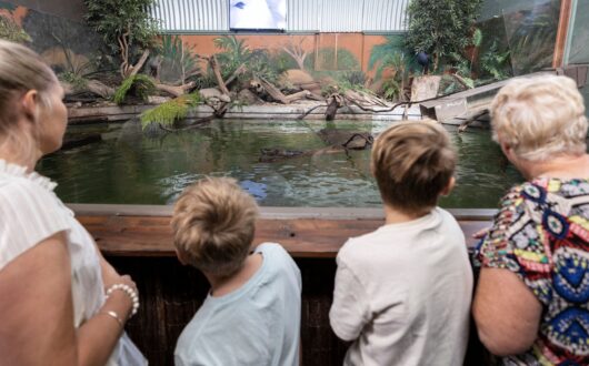 Platypus House