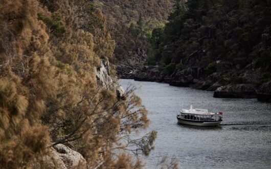 Tamar River Cruises