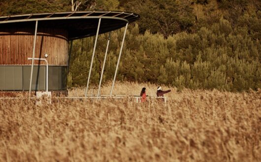 Tamar Island Wetlands